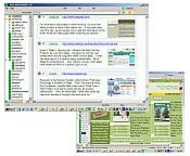 Auto Web Browser screenshot